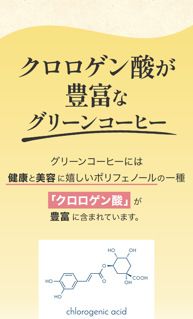 クロロゲン酸が豊富